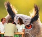 TourNatur 2018, messekompakt.de
