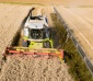 INTERSOLAR 2024, messekompakt.de